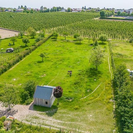 Unique Hideaway, Holiday House With Large Garden Kortenaken Экстерьер фото