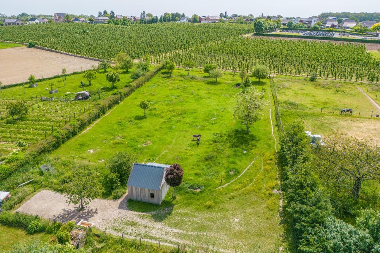 Unique Hideaway, Holiday House With Large Garden Kortenaken Экстерьер фото
